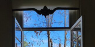 Suburban Lawn And Garden Martin City: Secrets To A Stunning Yard