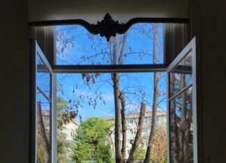 Suburban Lawn And Garden Martin City: Secrets To A Stunning Yard