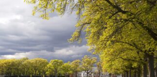 Best Suburbs Of NYC Revealed: Which Neighborhoods Offer Ultimate Living?