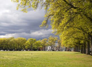 Best Suburbs Of NYC Revealed: Which Neighborhoods Offer Ultimate Living?