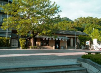 Shake Shack Suburban Square: Why This Burger Spot Is Unmissable