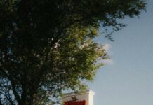 South Suburban Low Cost Veterinary Services: How To Save Big