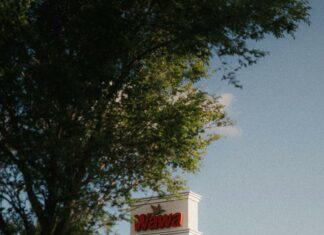 South Suburban Low Cost Veterinary Services: How To Save Big