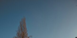 2016 Chevy Suburban Blinker Light Bulb: How To Fix It Fast