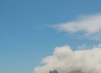 South Side Chicago Suburbs: Discover Hidden Gems and Top Spots