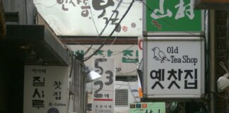 South Side Suburbs Of Chicago: Discover Hidden Gems Near The City