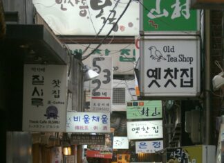 South Side Suburbs Of Chicago: Discover Hidden Gems Near The City