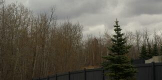 Black Chevy Suburban SUV: Why It’s The Ultimate Luxury Ride