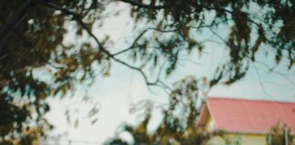 Suburban Ford Of Ferndale Ferndale MI: Why Choose This Dealer?