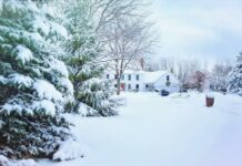 Suburban Ice Macomb Michigan: Discover The Ultimate Skating Experience