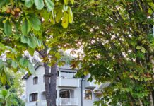 1999 Chevrolet Suburban 1500: Why Is It Still a Legendary SUV?