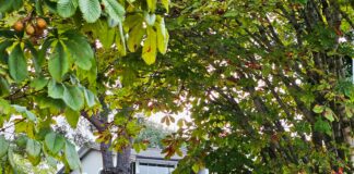 1999 Chevrolet Suburban 1500: Why Is It Still a Legendary SUV?