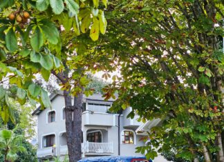 1999 Chevrolet Suburban 1500: Why Is It Still a Legendary SUV?