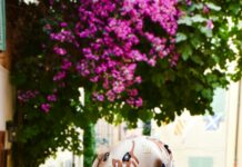 Nice Suburbs Of Atlanta: Discover The Most Charming Neighborhoods