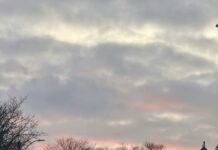 John Carpenter Suburban Screams: Unveiling Chilling Horror Secrets