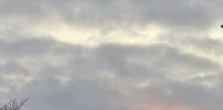 John Carpenter Suburban Screams: Unveiling Chilling Horror Secrets