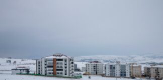 East Suburban Catholic Conference: Secrets to Winning Traditions Revealed