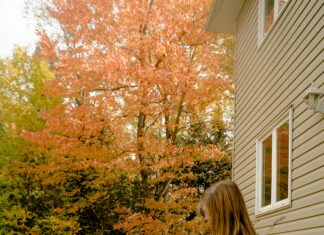 Northside Suburban Little League Secrets Every Parent Should Know