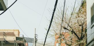 South Suburban Animal Hospital Perrysburg Ohio: Why Choose Us?