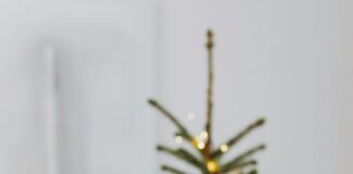 Suburban Liquors Yorktown NY: Discover Premium Spirits Near You