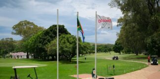 South Suburban Golf Courses: Discover Hidden Gems for Golf Lovers