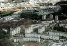 West Suburban Sports Complex: Discover Top Facilities & Fun Activities