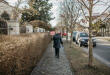 Suburban Cars For Sale: Discover Top Deals and Hidden Gems Today