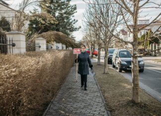 Suburban Cars For Sale: Discover Top Deals and Hidden Gems Today