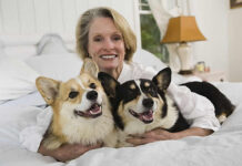 Enhancing Dog Health and Comfort: A Guide for Pet Owners Enhancing Dog Health and Comfort A Guide for Pet Owners