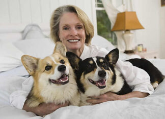 Enhancing Dog Health and Comfort: A Guide for Pet Owners Enhancing Dog Health and Comfort A Guide for Pet Owners