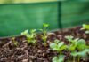 The Rise of Sustainable Farming Practices: A Closer Look at Vermicomposting The Rise of Sustainable Farming Practices: An In-Depth Examination of Vermicomposting